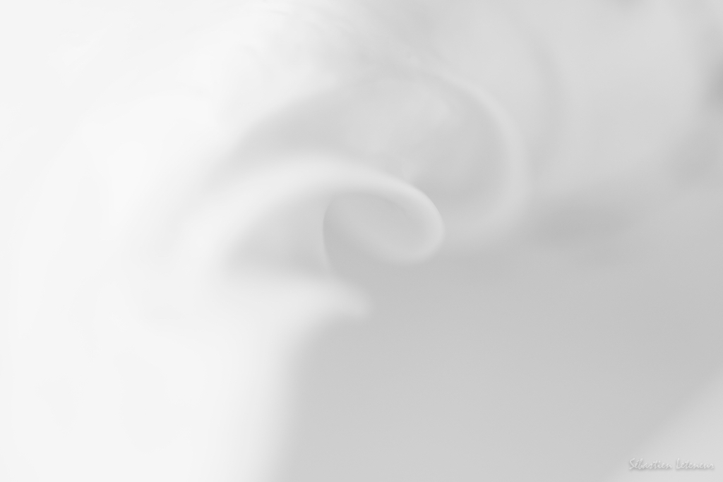 Tourbillon